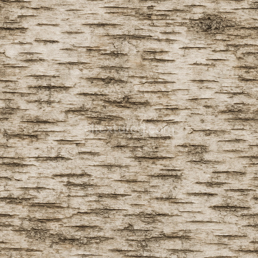 Aged Birch Bark Texture Seamless 1024X1024