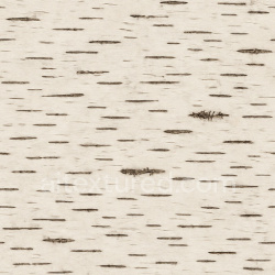 seamless Synthetic Birch Bark Texture Seamless 1024X1024 texture 1024x1024 free download PBR