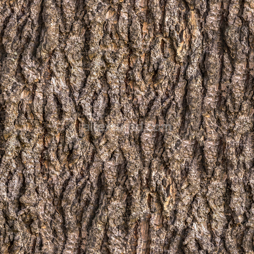 Seamless Bark 3 by Share Textures – PBR 3D Texture (8K ready)