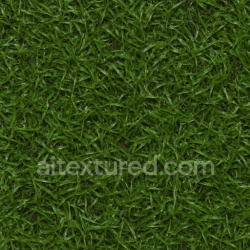 seamless Wet Turf Texture texture 1024x1024 free download PBR
