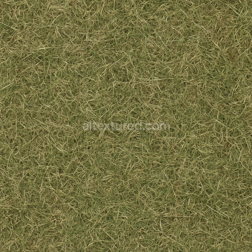 Dull Grass Seamless Texture