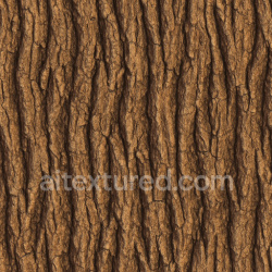 seamless Polished Oak Bark Texture Seamless 1024X1024 texture 1024x1024 free download PBR