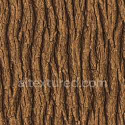 seamless Polished Oak Bark Texture Seamless texture 8k free download PBR