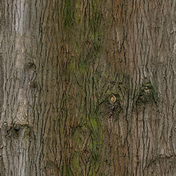 Bark Tree Forest - Bark Brown Bark Tree Forest Knots Wood seamless PBR texture preview
