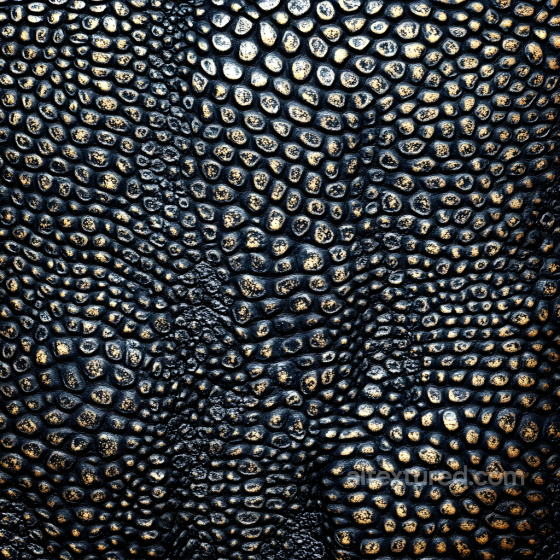 Reptilian Skin Texture With Detailed Embossed Scale Pattern Skin texture preview