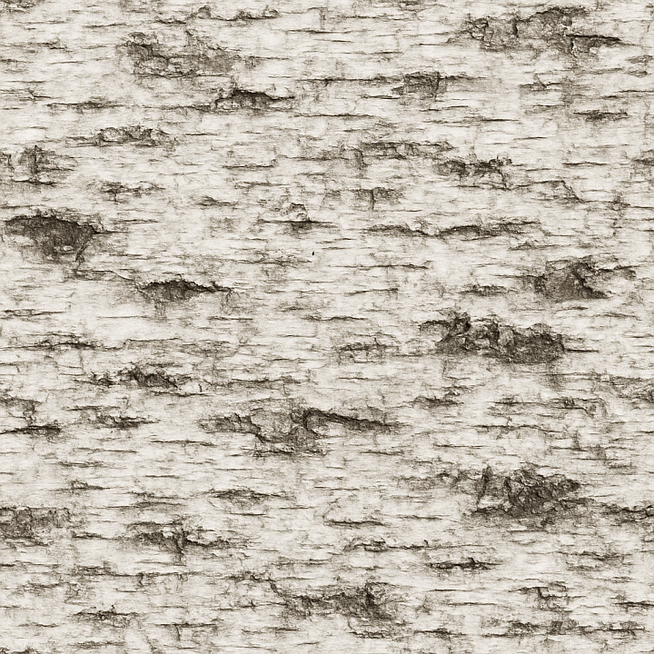 Rough Birch Bark seamless PBR texture preview