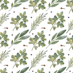 seamless Seamless 3D PBR Texture Featuring Soft Watercolor Herb Leaves and Spices texture 8k free download PBR