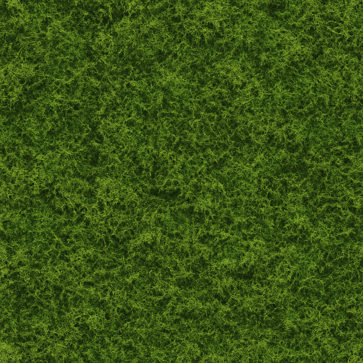 Smooth Forest Moss seamless PBR texture preview