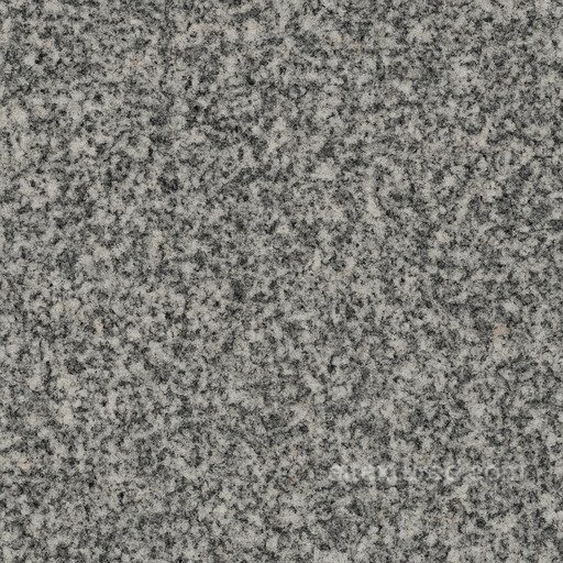 Granite Granite Floor Seamless Texture seamless Granite PBR texture