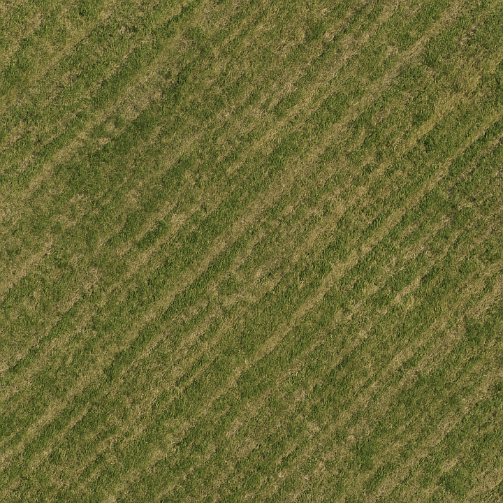 Photorealistic Field seamless PBR texture preview