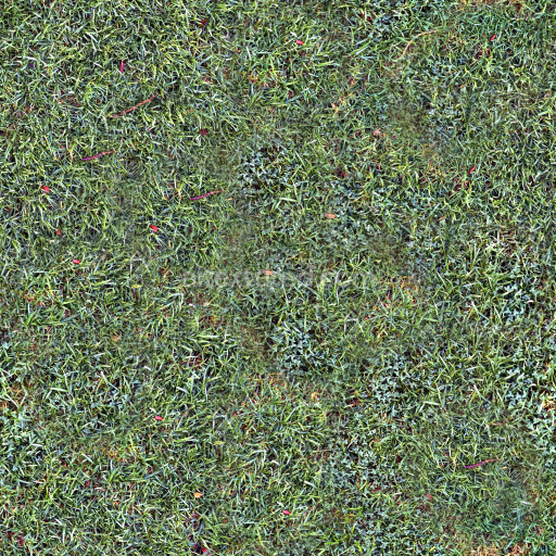 High-Quality Seamless Grass Texture