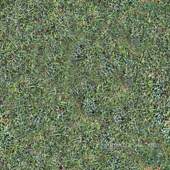 High-Quality Seamless Grass Texture Ground surface texture preview