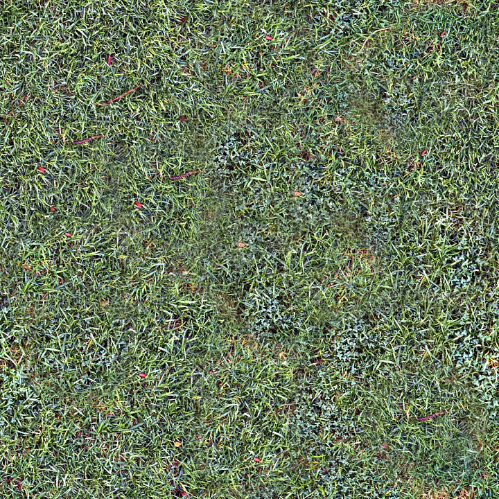 High-Quality Grass seamless PBR texture preview