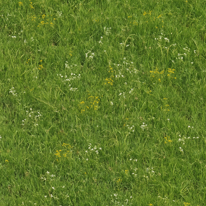 Natural Meadow seamless PBR texture preview