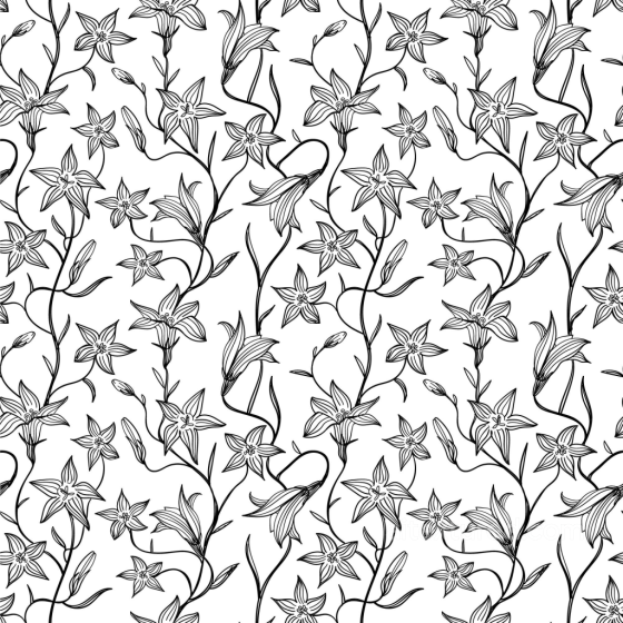 White & Black Texture of Black and White Floral Line Art Pattern White & Black texture preview