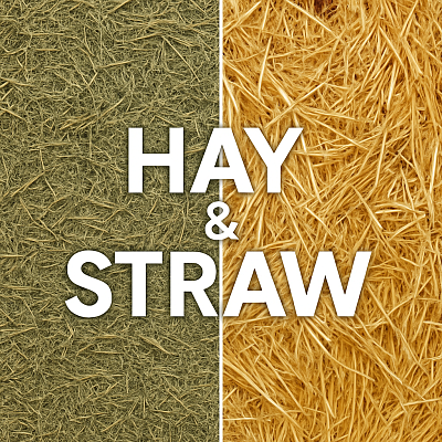 Hay & Straw Seamless Textures – Natural PBR Materials for 3D Projects
