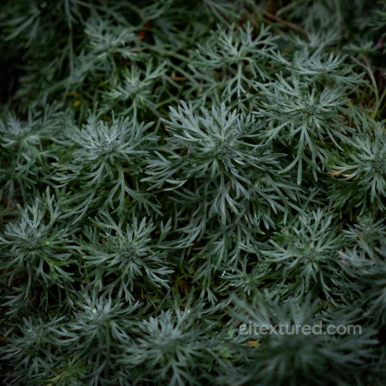 Natural Green Ground Texture with Delicate Foliage Foliage texture preview