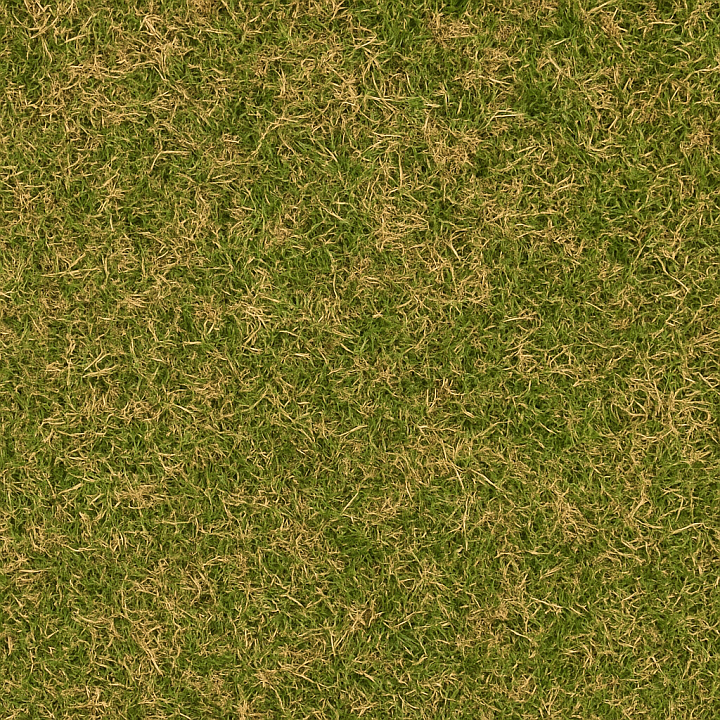 Dry Green Lawn seamless PBR texture preview