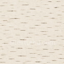 Smooth Birch Texture Seamless 1024X1024