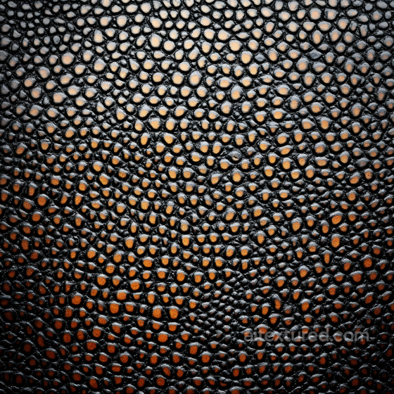 Reptilian Skin Texture Featuring Black Scales and Brown Underlayers Skin texture preview