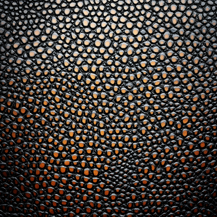 Reptilian Skin Featuring Black Scales and Brown Underlayers seamless PBR texture preview