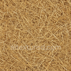 seamless Loose Haystack Seamless Texture texture 1024x1024 free download PBR