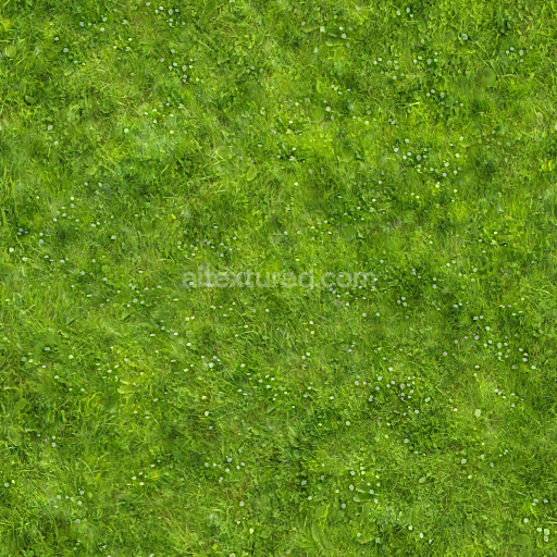 Preview — Seamless PBR Green Grass Ground Texture with Small White Flowers and Leaves