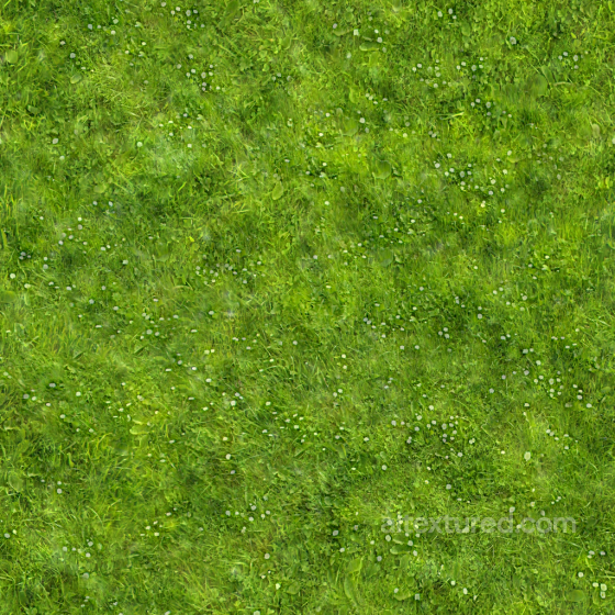 Seamless PBR Green Grass Ground Texture with Small White Flowers and Leaves texture preview