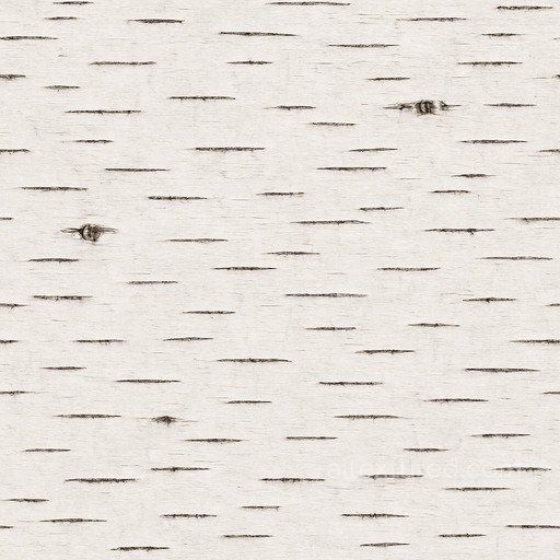 Clean Birch Seamless Texture seamless Wood PBR texture