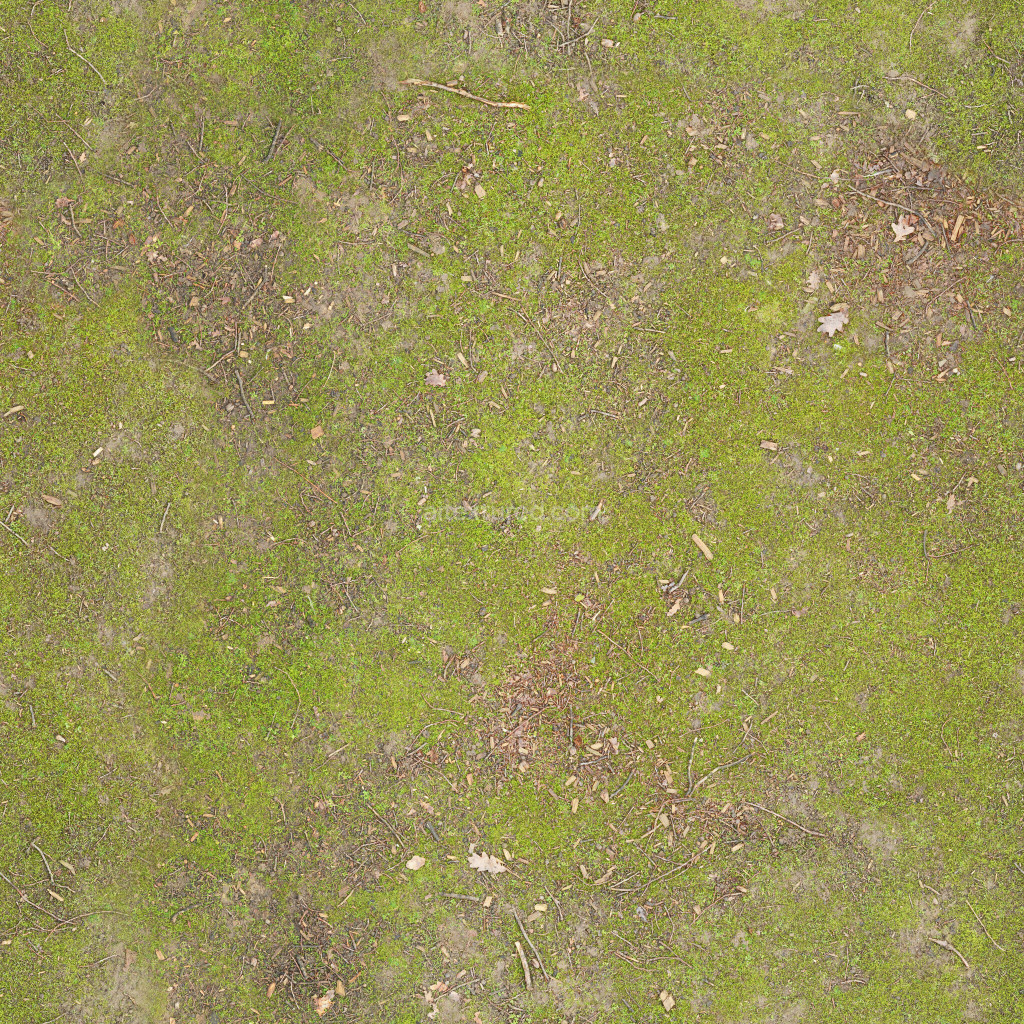 Seamless PBR ground texture featuring moss and organic elements