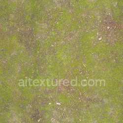 seamless Ground Mossy Natural Earthy Grassy Tileable Organic Rough Vegetation Outdoor texture 8k free download PBR