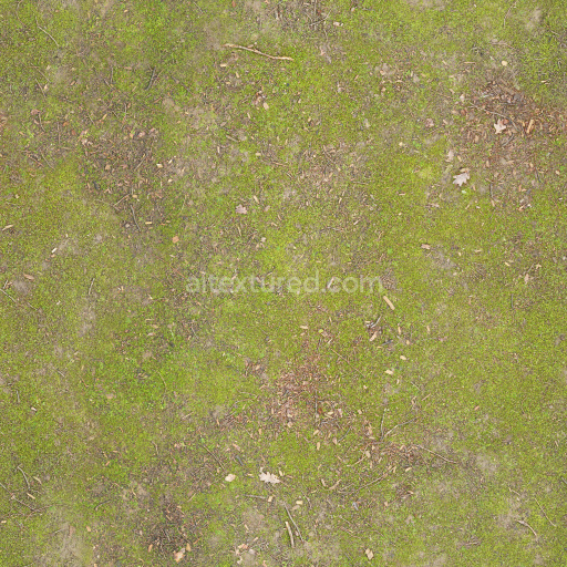 Ground Mossy Natural Earthy Grassy Tileable Organic Rough Vegetation Outdoor