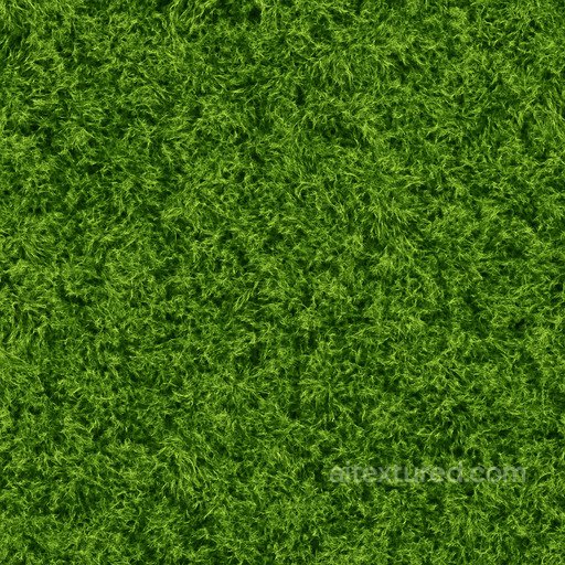 Detailed Green Moss Seamless Texture seamless Moss PBR texture