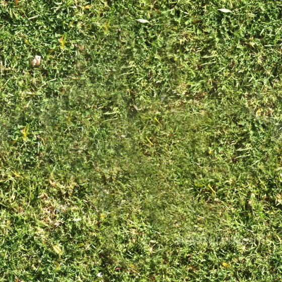 Seamless PBR Grass Texture Download Ground surface texture preview