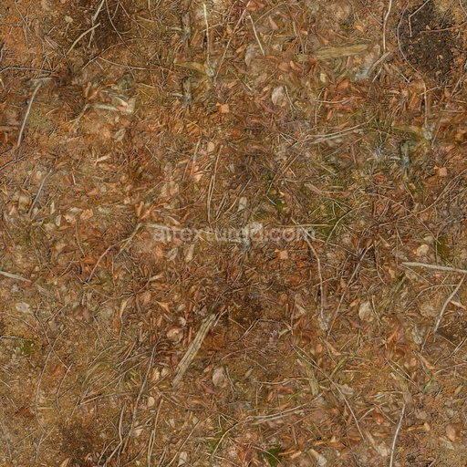 Seamless Forest Leaves 04 by Texture Haven – PBR 3D Texture (8K ready)