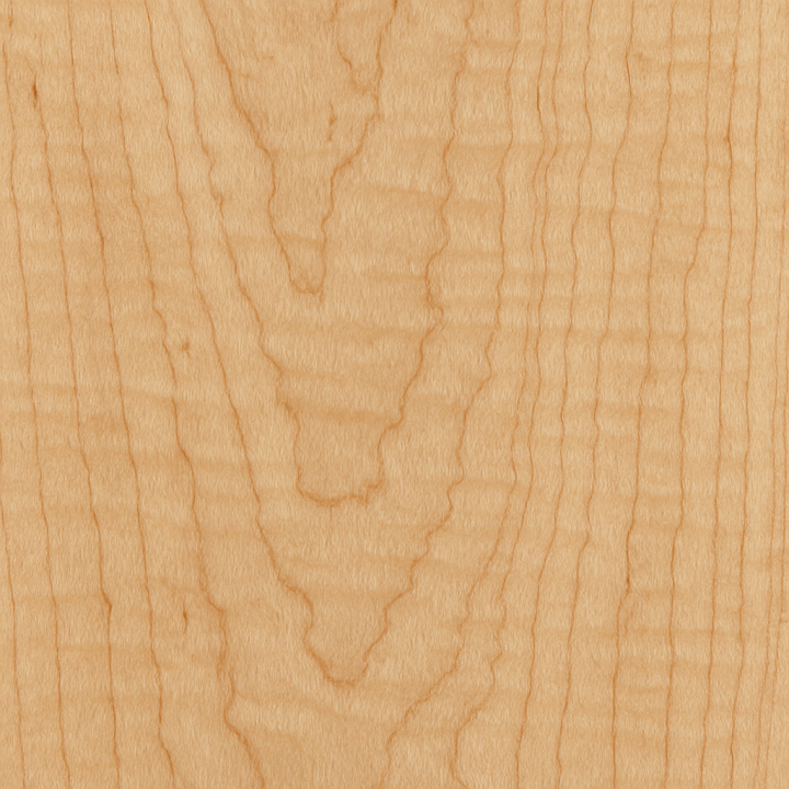 Detailed Maple Wood seamless PBR texture preview