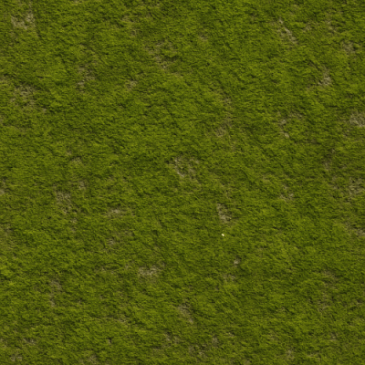 Expert Guide to Creating and Using Moss Textures for PBR Workflows
