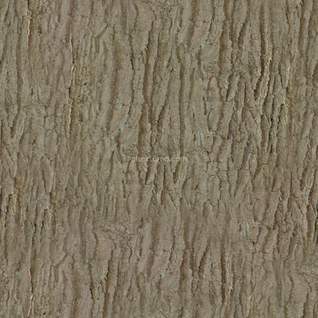 Seamless bark texture with realistic wood grain detail