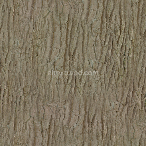 Bark Texture Seamless Natural Wood Organic Rough Brown Weathered Grain