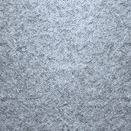 Seamless 3D Felt PBR Texture Featuring Soft Gray, Dense Wool-like Fibers