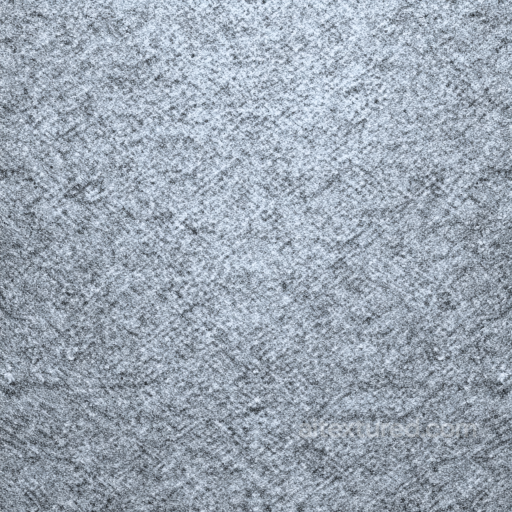 Felt PBR Texture Featuring Soft Gray, Dense Wool-like Fibers seamless Felt PBR texture