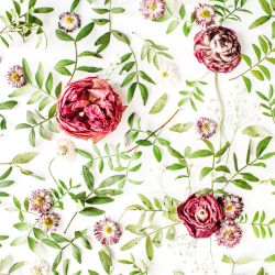 seamless Seamless 3D PBR Texture of Delicate Dried Wild Flowers and Green Leaves texture 8k free download PBR