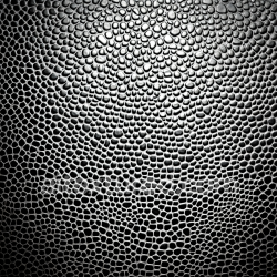 seamless Seamless 3D Skin PBR Texture Featuring Detailed Pores and Organic Network Structure texture 8k free download PBR