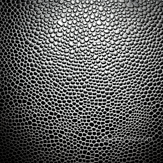 Skin PBR Texture Featuring Detailed Pores and Organic Network Structure Skin texture preview