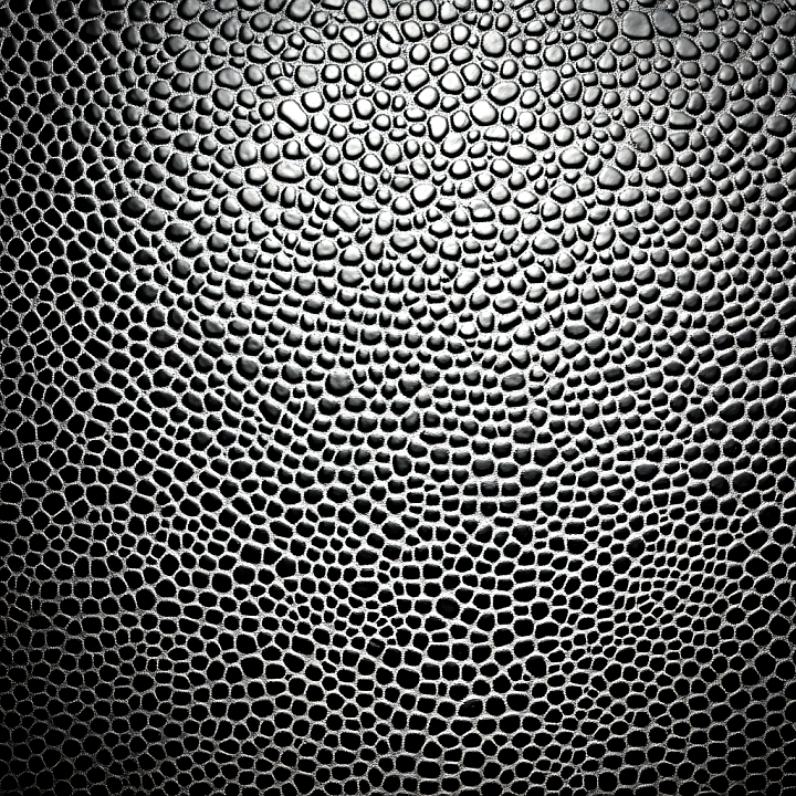 Skin Featuring Detailed Pores and Organic Network Structure seamless PBR texture preview