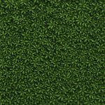 Foliage