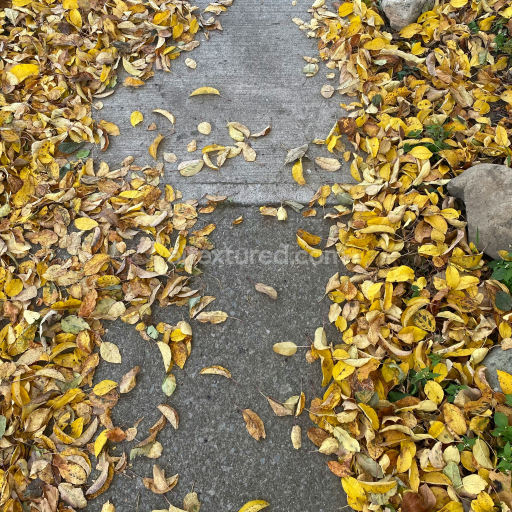 Preview — Ground Texture with Fallen Yellow Autumn Leaves and Concrete Surface