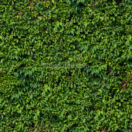 Seamless PBR Leaf Texture Collection