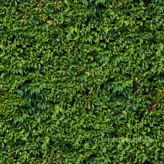 Seamless PBR Leaf Texture Collection Ground surface texture preview