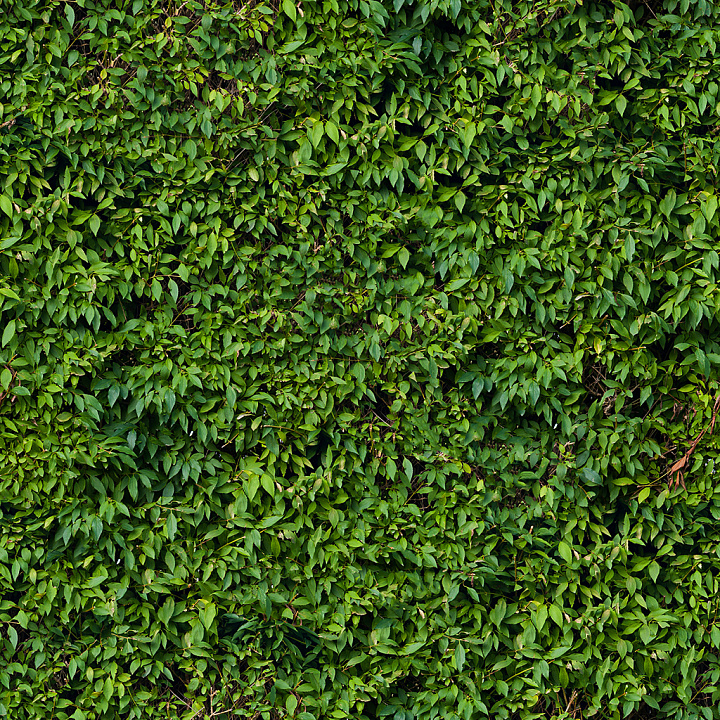 Leaf Collection seamless PBR texture preview